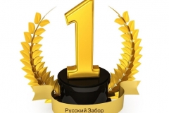 Строительная компания «Русский Забор» снова заняла первое место в ТОП 10 лучших фирм по установке заборов в Москве в 2023 году